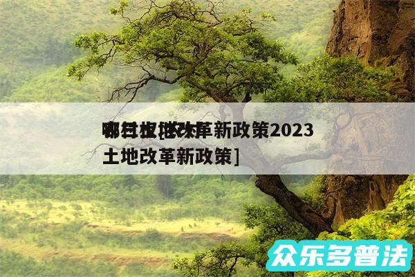 农村土地改革新政策2024
哪三权及农村土地改革新政策