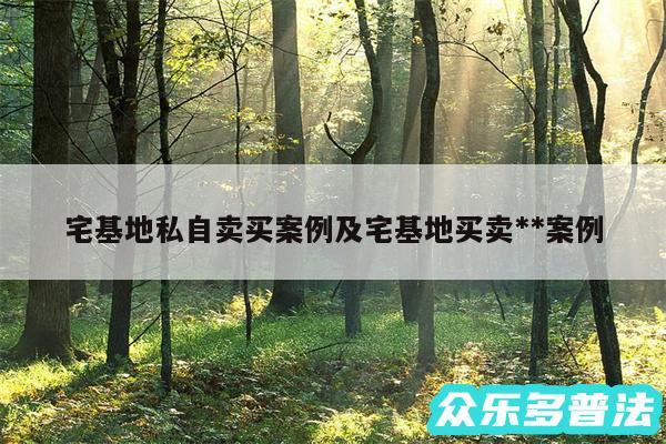 宅基地私自卖买案例及宅基地买卖**案例