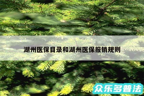 湖州医保目录和湖州医保报销规则