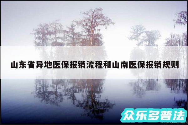 山东省异地医保报销流程和山南医保报销规则