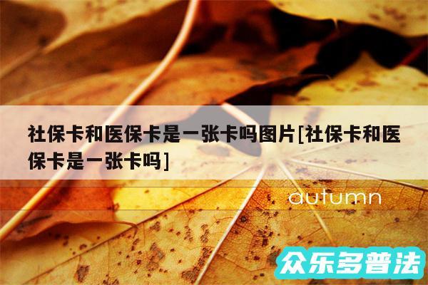 社保卡和医保卡是一张卡吗图片及社保卡和医保卡是一张卡吗