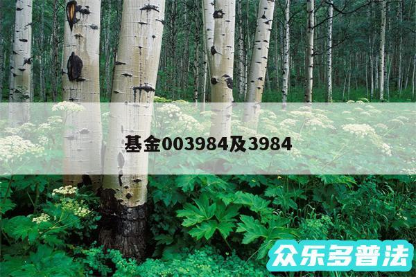 基金003984及3984