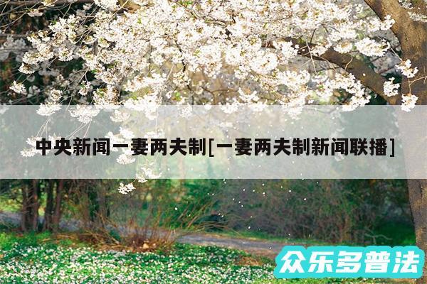 中央新闻一妻两夫制及一妻两夫制新闻联播