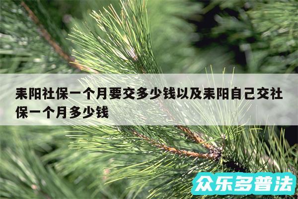 耒阳社保一个月要交多少钱以及耒阳自己交社保一个月多少钱