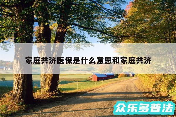 家庭共济医保是什么意思和家庭共济