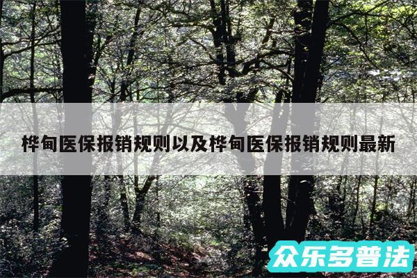 桦甸医保报销规则以及桦甸医保报销规则最新