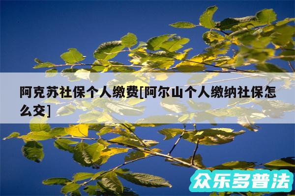 阿克苏社保个人缴费及阿尔山个人缴纳社保怎么交