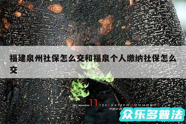 福建泉州社保怎么交和福泉个人缴纳社保怎么交