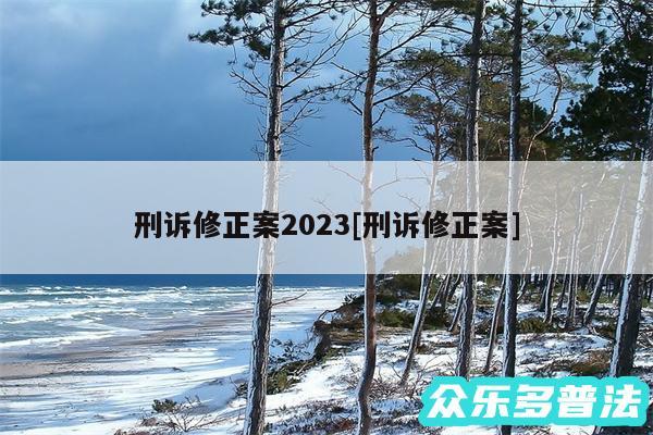 刑诉修正案2024及刑诉修正案