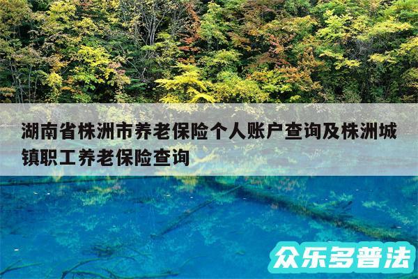 湖南省株洲市养老保险个人账户查询及株洲城镇职工养老保险查询