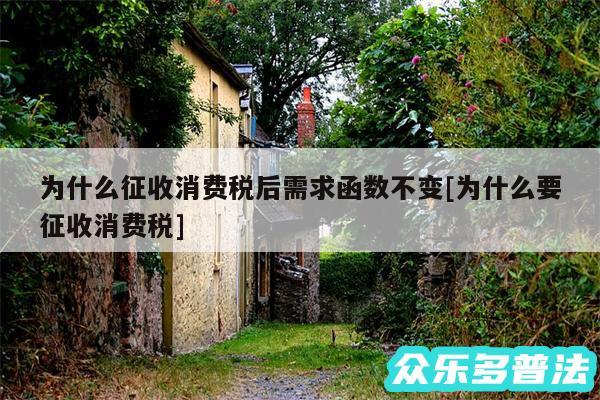 为什么征收消费税后需求函数不变及为什么要征收消费税