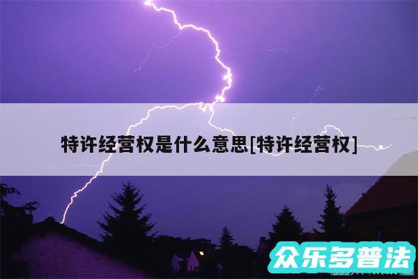 特许经营权是什么意思及特许经营权