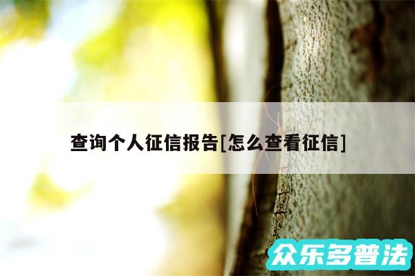 查询个人征信报告及怎么查看征信