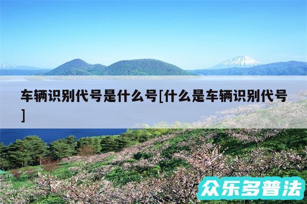 车辆识别代号是什么号及什么是车辆识别代号