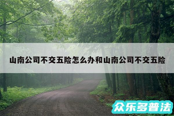 山南公司不交五险怎么办和山南公司不交五险