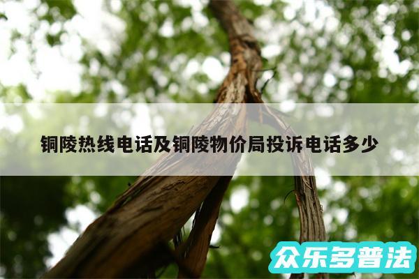 铜陵热线电话及铜陵物价局投诉电话多少