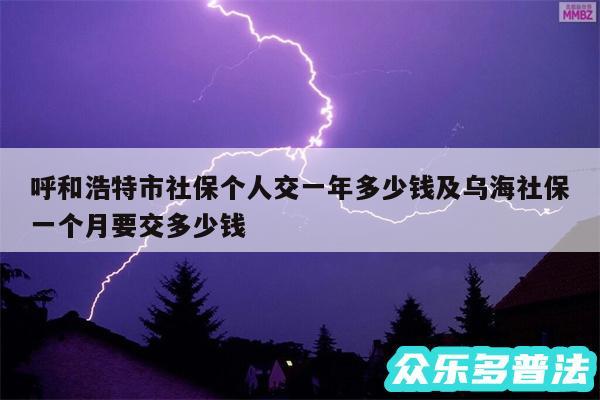 呼和浩特市社保个人交一年多少钱及乌海社保一个月要交多少钱