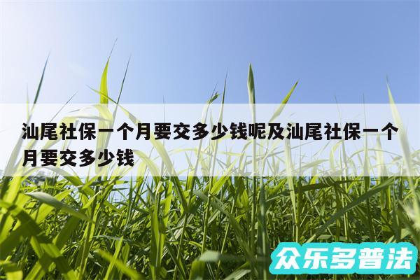 汕尾社保一个月要交多少钱呢及汕尾社保一个月要交多少钱