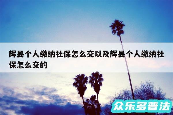 辉县个人缴纳社保怎么交以及辉县个人缴纳社保怎么交的