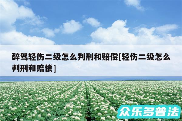 醉驾轻伤二级怎么判刑和赔偿及轻伤二级怎么判刑和赔偿