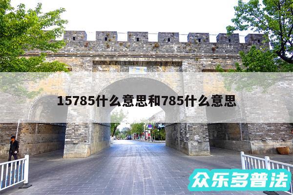 15785什么意思和785什么意思