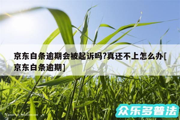 京东白条逾期会被起诉吗?真还不上怎么办及京东白条逾期