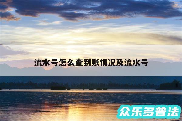 流水号怎么查到账情况及流水号