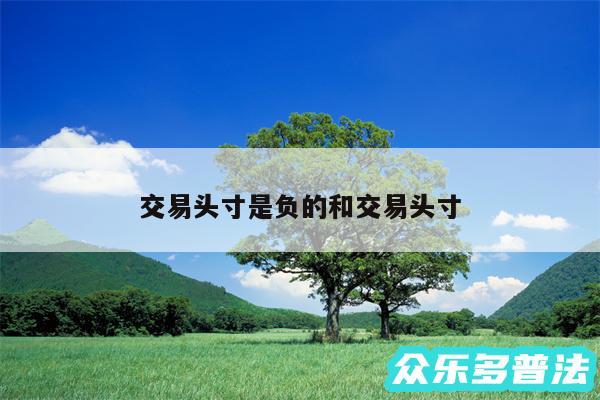 交易头寸是负的和交易头寸
