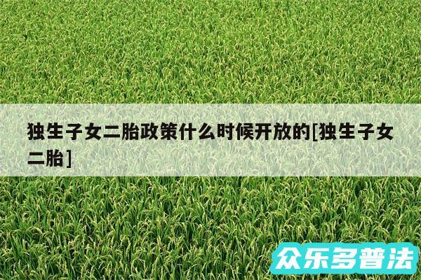 独生子女二胎政策什么时候开放的及独生子女二胎