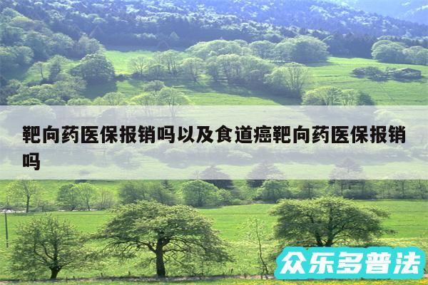 靶向药医保报销吗以及食道癌靶向药医保报销吗