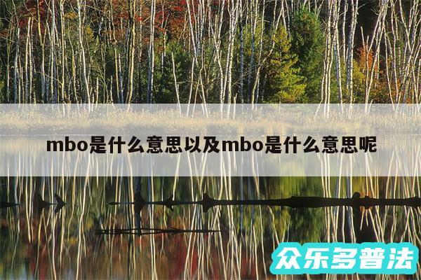 mbo是什么意思以及mbo是什么意思呢