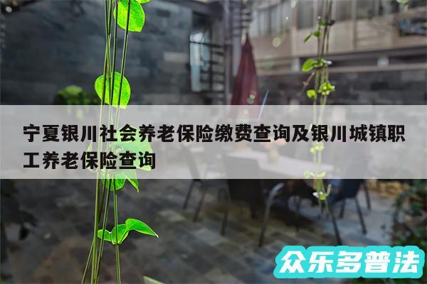 宁夏银川社会养老保险缴费查询及银川城镇职工养老保险查询