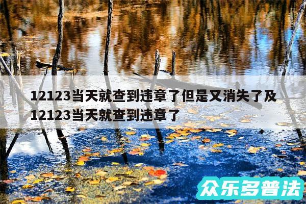 12123当天就查到违章了但是又消失了及12123当天就查到违章了