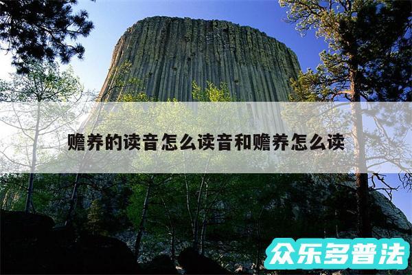 赡养的读音怎么读音和赡养怎么读