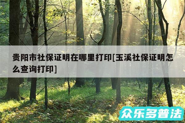 贵阳市社保证明在哪里打印及玉溪社保证明怎么查询打印