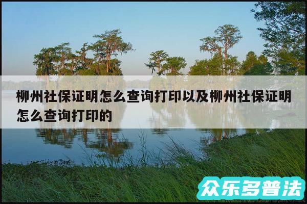 柳州社保证明怎么查询打印以及柳州社保证明怎么查询打印的