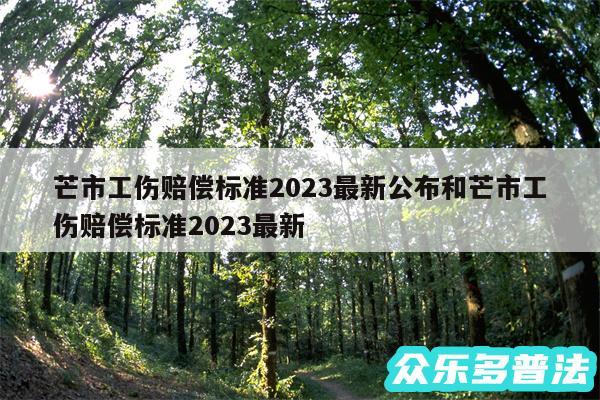 芒市工伤赔偿标准2024最新公布和芒市工伤赔偿标准2024最新