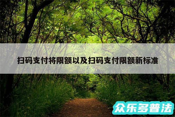 扫码支付将限额以及扫码支付限额新标准