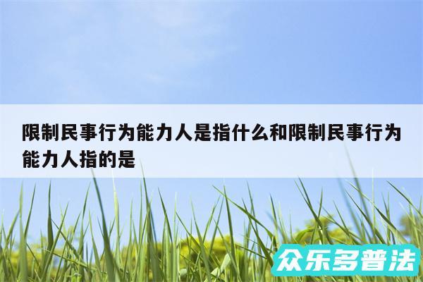 限制民事行为能力人是指什么和限制民事行为能力人指的是