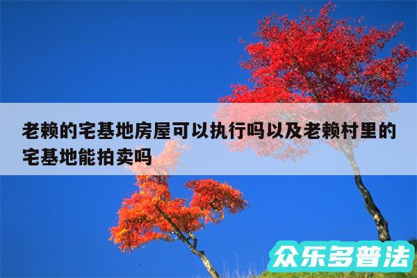 老赖的宅基地房屋可以执行吗以及老赖村里的宅基地能拍卖吗