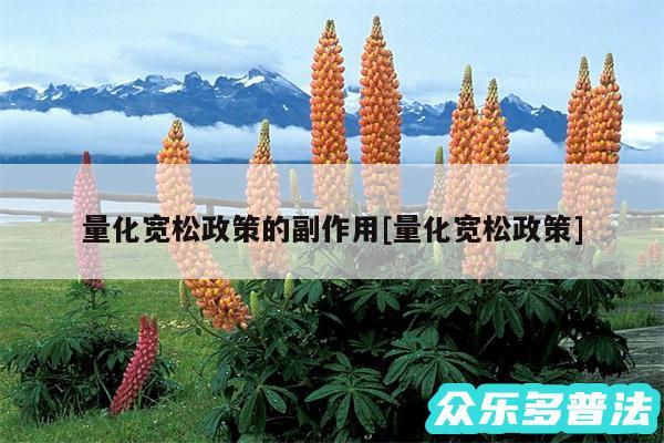 量化宽松政策的副作用及量化宽松政策