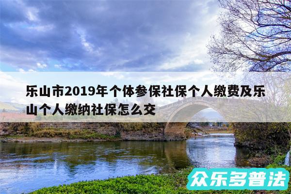 乐山市2019年个体参保社保个人缴费及乐山个人缴纳社保怎么交