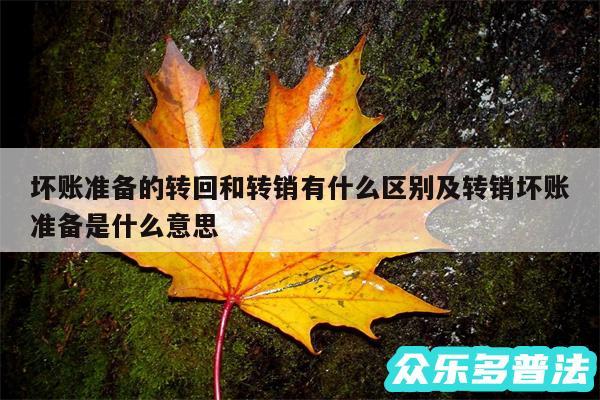 坏账准备的转回和转销有什么区别及转销坏账准备是什么意思