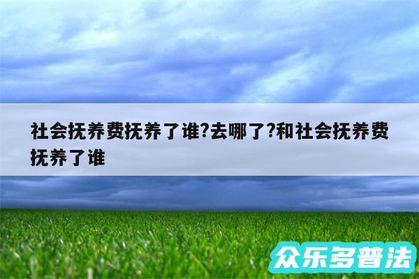 社会抚养费抚养了谁?去哪了?和社会抚养费抚养了谁