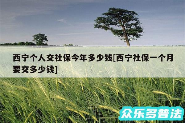 西宁个人交社保今年多少钱及西宁社保一个月要交多少钱