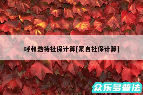 呼和浩特社保计算及蒙自社保计算
