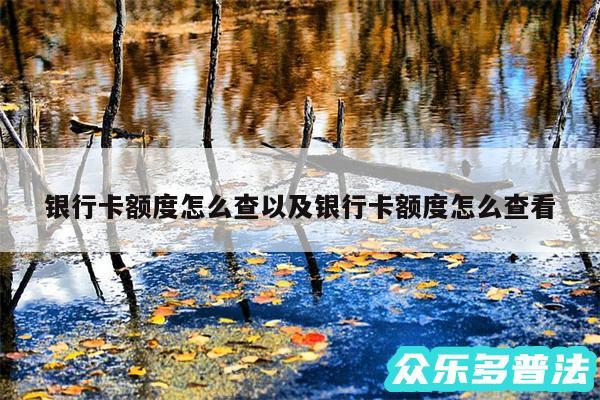 银行卡额度怎么查以及银行卡额度怎么查看