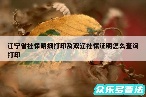 辽宁省社保明细打印及双辽社保证明怎么查询打印