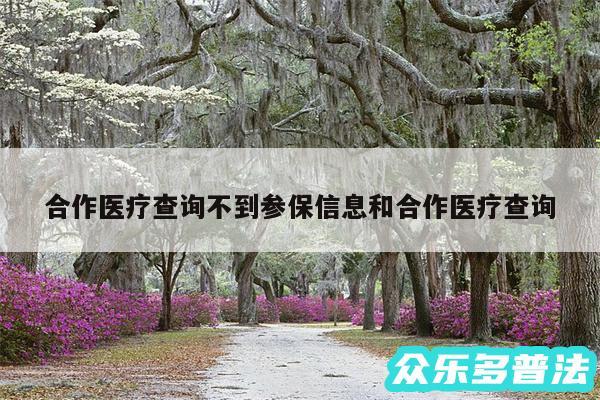 合作医疗查询不到参保信息和合作医疗查询