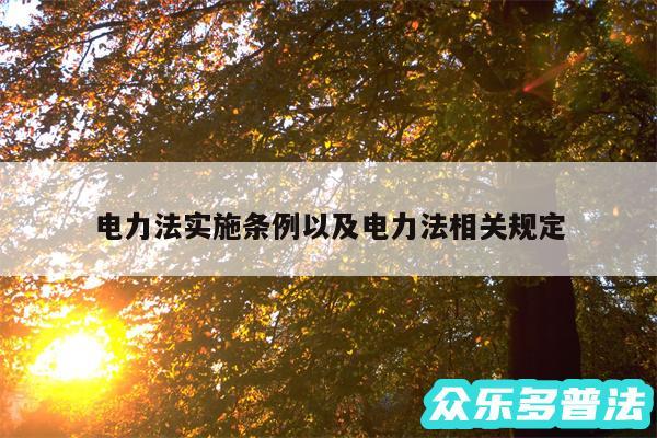 电力法实施条例以及电力法相关规定